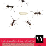 سیر نمایشگاهی تغییرات جمعیتی