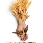 مجموعه پوستر حجاب ارزش اجتماعی