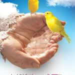 مجموعه پوستر حجاب ارزش اجتماعی